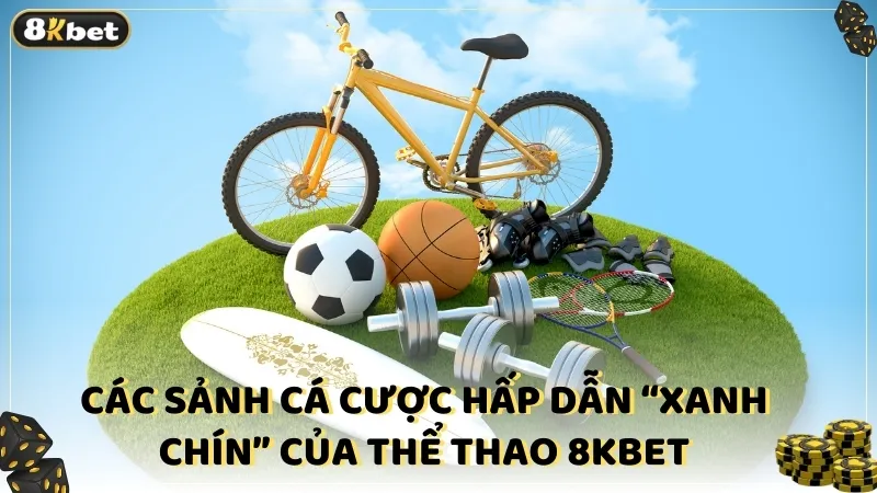 Các sảnh cá cược hấp dẫn “xanh chín” của thể thao 8kBet